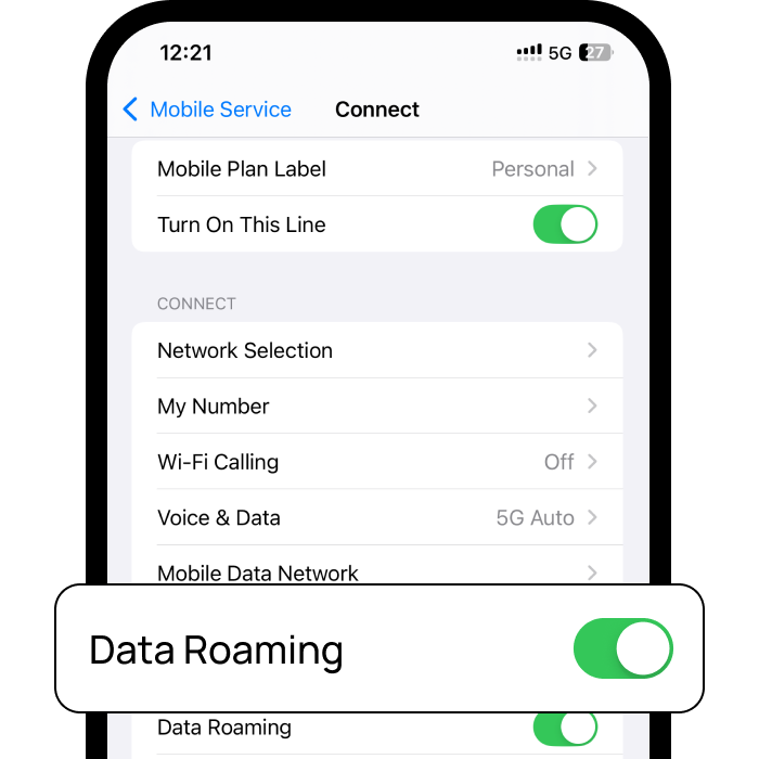 Activate eSIM in iPhone | Enable Data Roaming